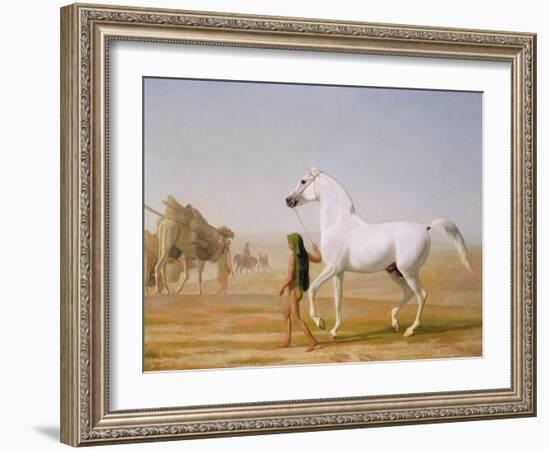 The Wellesley Grey Arabian Led Through the Desert, c.1810-Jacques-Laurent Agasse-Framed Giclee Print