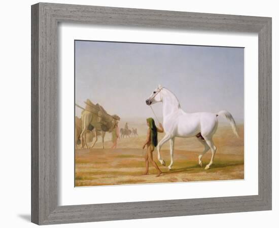 The Wellesley Grey Arabian Led Through the Desert, c.1810-Jacques-Laurent Agasse-Framed Giclee Print