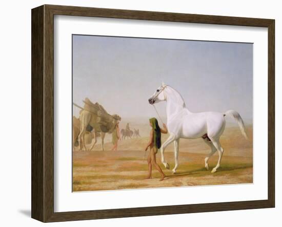 The Wellesley Grey Arabian Led Through the Desert, c.1810-Jacques-Laurent Agasse-Framed Giclee Print