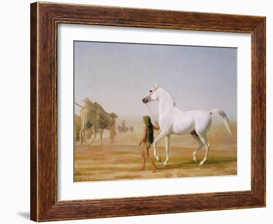 The Wellesley Grey Arabian Led Through the Desert, c.1810-Jacques-Laurent Agasse-Framed Giclee Print