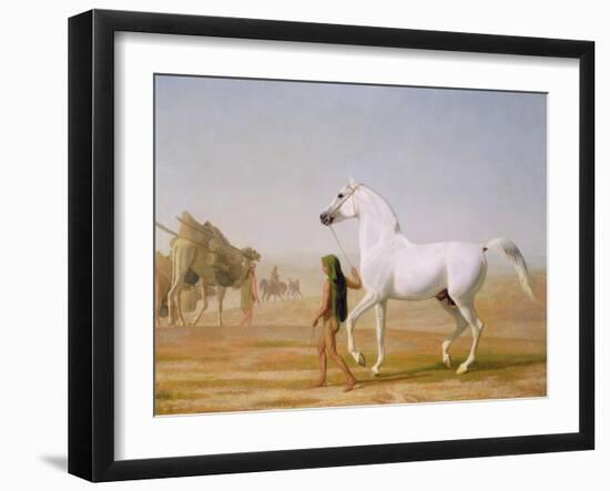 The Wellesley Grey Arabian Led Through the Desert, c.1810-Jacques-Laurent Agasse-Framed Giclee Print