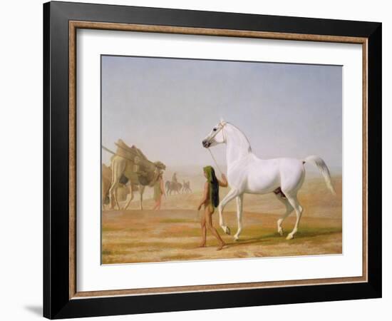 The Wellesley Grey Arabian Led Through the Desert, c.1810-Jacques-Laurent Agasse-Framed Giclee Print