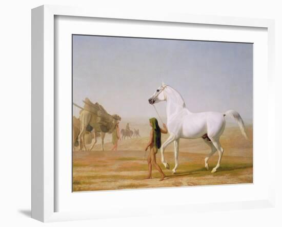 The Wellesley Grey Arabian Led Through the Desert, c.1810-Jacques-Laurent Agasse-Framed Giclee Print