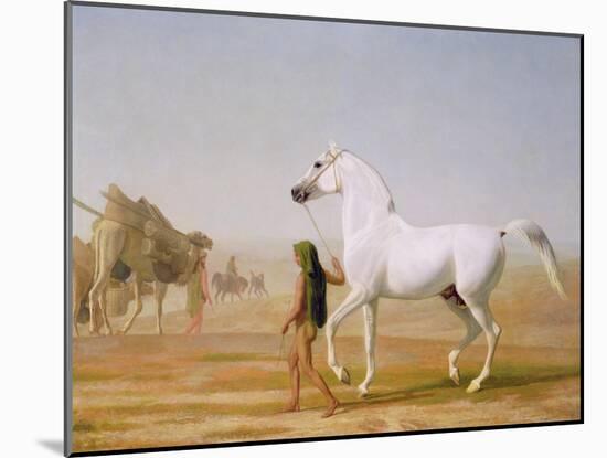 The Wellesley Grey Arabian Led Through the Desert, c.1810-Jacques-Laurent Agasse-Mounted Giclee Print