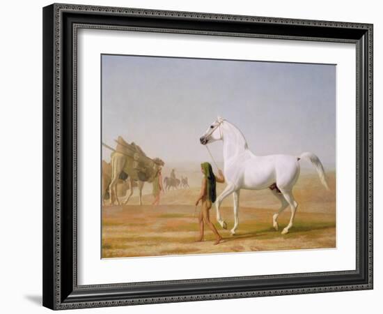 The Wellesley Grey Arabian Led Through the Desert, c.1810-Jacques-Laurent Agasse-Framed Giclee Print