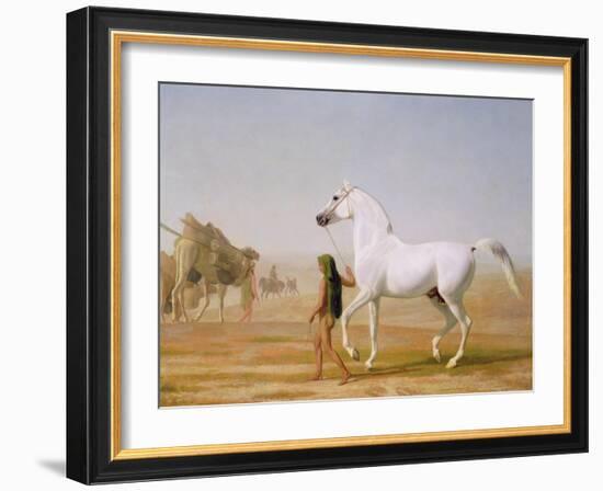 The Wellesley Grey Arabian Led Through the Desert, c.1810-Jacques-Laurent Agasse-Framed Giclee Print