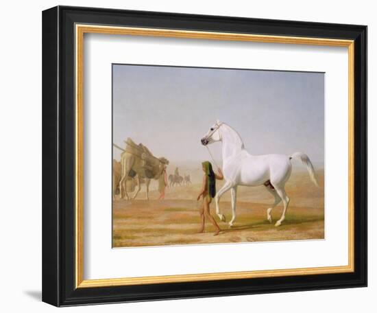 The Wellesley Grey Arabian Led Through the Desert, c.1810-Jacques-Laurent Agasse-Framed Giclee Print