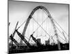 Photographic Print