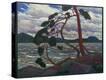 Stretched Canvas Print