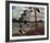 The West Wind-Tom Thomson-Framed Giclee Print