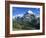 The Wetterhorn, Near Grindelwald, Bernese Oberland, Swiss Alps, Switzerland-Hans Peter Merten-Framed Photographic Print