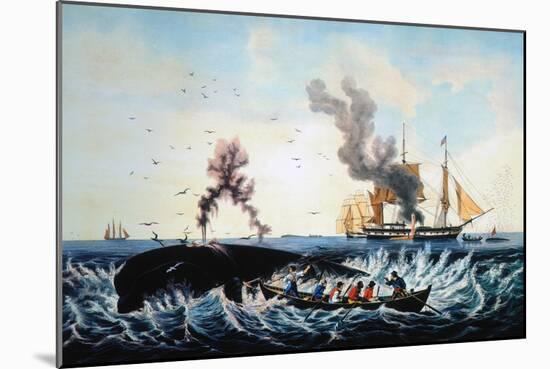 The Whale Fishery-Currier & Ives-Mounted Giclee Print