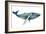 The Whale's Song II-Grace Popp-Framed Premium Giclee Print