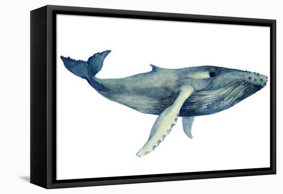The Whale's Song II-Grace Popp-Framed Stretched Canvas