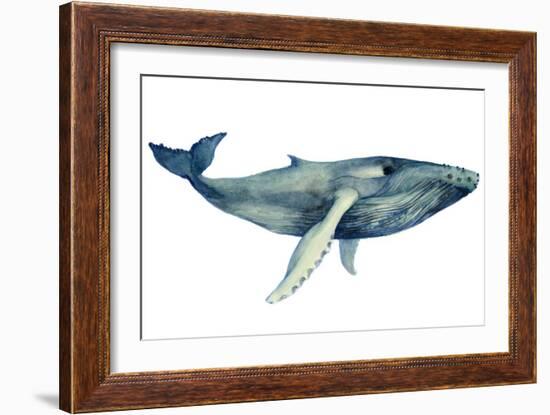 The Whale's Song II-Grace Popp-Framed Art Print