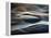 The Whale-Ursula Abresch-Framed Premier Image Canvas