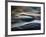 The Whale-Ursula Abresch-Framed Premium Photographic Print