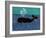 The Whale-Stephen Huneck-Framed Giclee Print