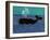 The Whale-Stephen Huneck-Framed Giclee Print