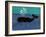 The Whale-Stephen Huneck-Framed Giclee Print