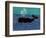 The Whale-Stephen Huneck-Framed Giclee Print