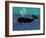 The Whale-Stephen Huneck-Framed Giclee Print