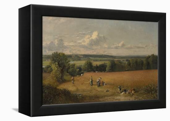 The Wheat Field, 1816 (Oil on Canvas)-John Constable-Framed Premier Image Canvas