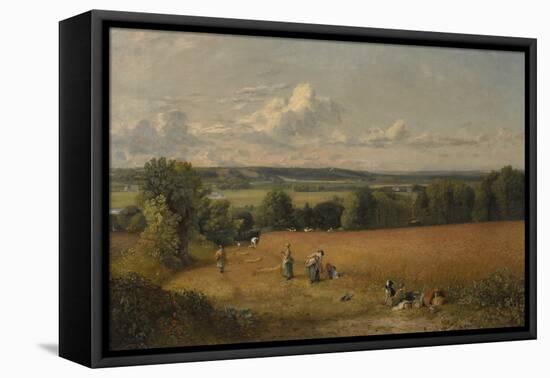 The Wheat Field, 1816 (Oil on Canvas)-John Constable-Framed Premier Image Canvas