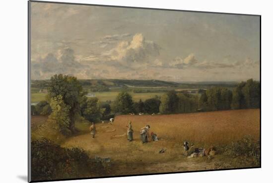 The Wheat Field, 1816 (Oil on Canvas)-John Constable-Mounted Giclee Print