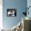 The Wheeler Dealers-null-Framed Stretched Canvas displayed on a wall