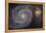 The Whirlpool Galaxy and its Companion Galaxy-null-Framed Premier Image Canvas