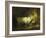 The White Bull in the Stable-Jean-Honoré Fragonard-Framed Giclee Print