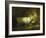 The White Bull in the Stable-Jean-Honoré Fragonard-Framed Giclee Print