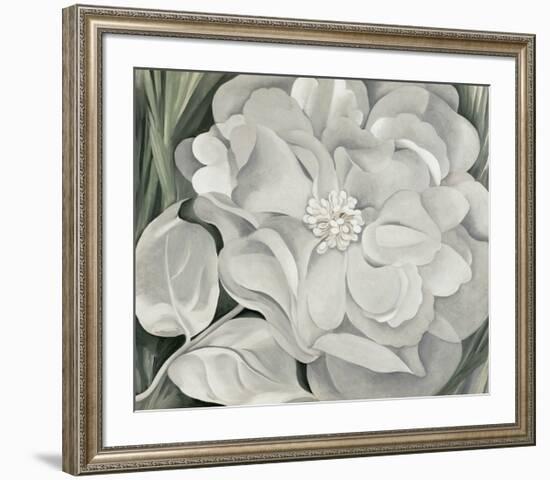 The White Calico Flower, c.1931-Georgia O'Keeffe-Framed Art Print