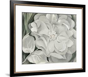 The White Calico Flower, c.1931-Georgia O'Keeffe-Framed Art Print