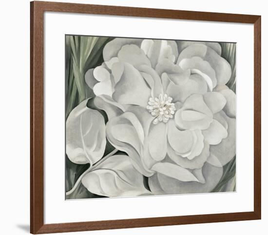 The White Calico Flower, c.1931-Georgia O'Keeffe-Framed Art Print