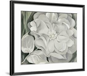 The White Calico Flower, c.1931-Georgia O'Keeffe-Framed Art Print