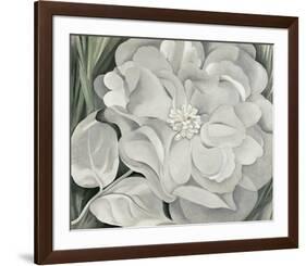 The White Calico Flower, c.1931-Georgia O'Keeffe-Framed Art Print