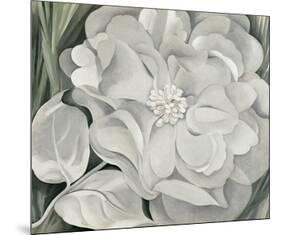 The White Calico Flower, c.1931-Georgia O'Keeffe-Mounted Art Print