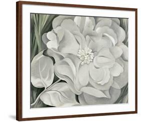 The White Calico Flower, c.1931-Georgia O'Keeffe-Framed Art Print