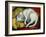 The White Cat, 1912-Franz Marc-Framed Giclee Print