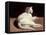 The White Cat, C.1817-18 (Oil on Canvas)-Theodore Gericault-Framed Premier Image Canvas