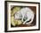 The White Cat-Franz Marc-Framed Giclee Print