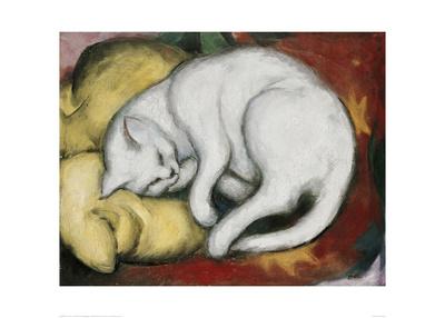 franz marc white cat franz marc white cat