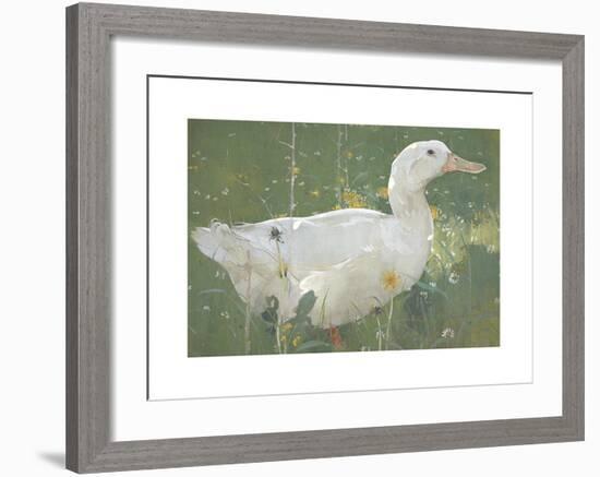 The White Drake-Joseph Crawhall-Framed Premium Giclee Print