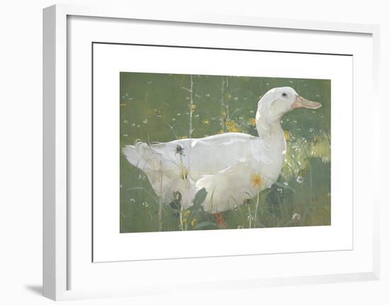 The White Drake-Joseph Crawhall-Framed Premium Giclee Print