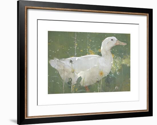 The White Drake-Joseph Crawhall-Framed Premium Giclee Print