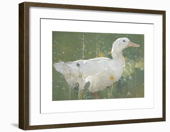 The White Drake-Joseph Crawhall-Framed Premium Giclee Print