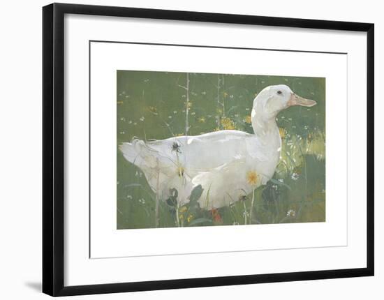 The White Drake-Joseph Crawhall-Framed Premium Giclee Print