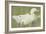 The White Drake-Joseph Crawhall-Framed Giclee Print